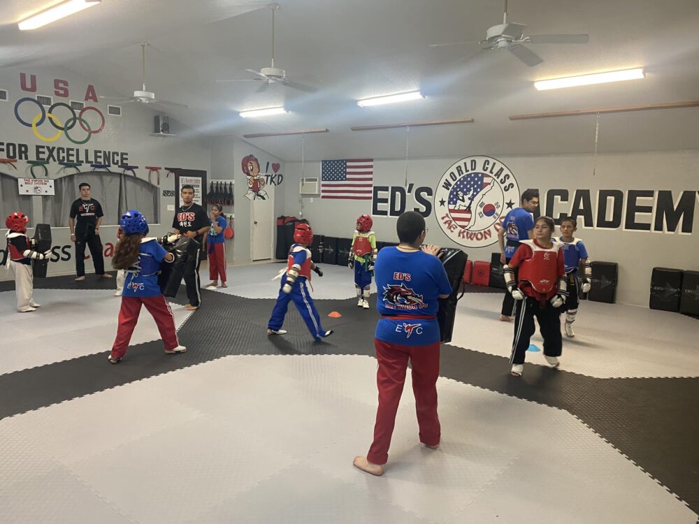 Ed's World Class Tae Kwon Do / Karate Academy Class Schedule image