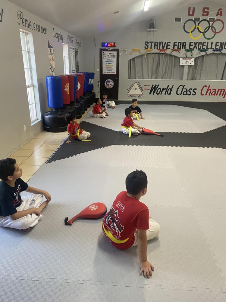 Ed's World Class Tae Kwon Do / Karate Academy Gallery Photo Number 4