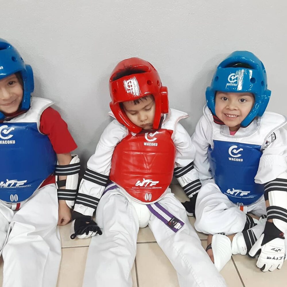 Ed's World Class Tae Kwon Do / Karate Academy Little Dragons Program Overview