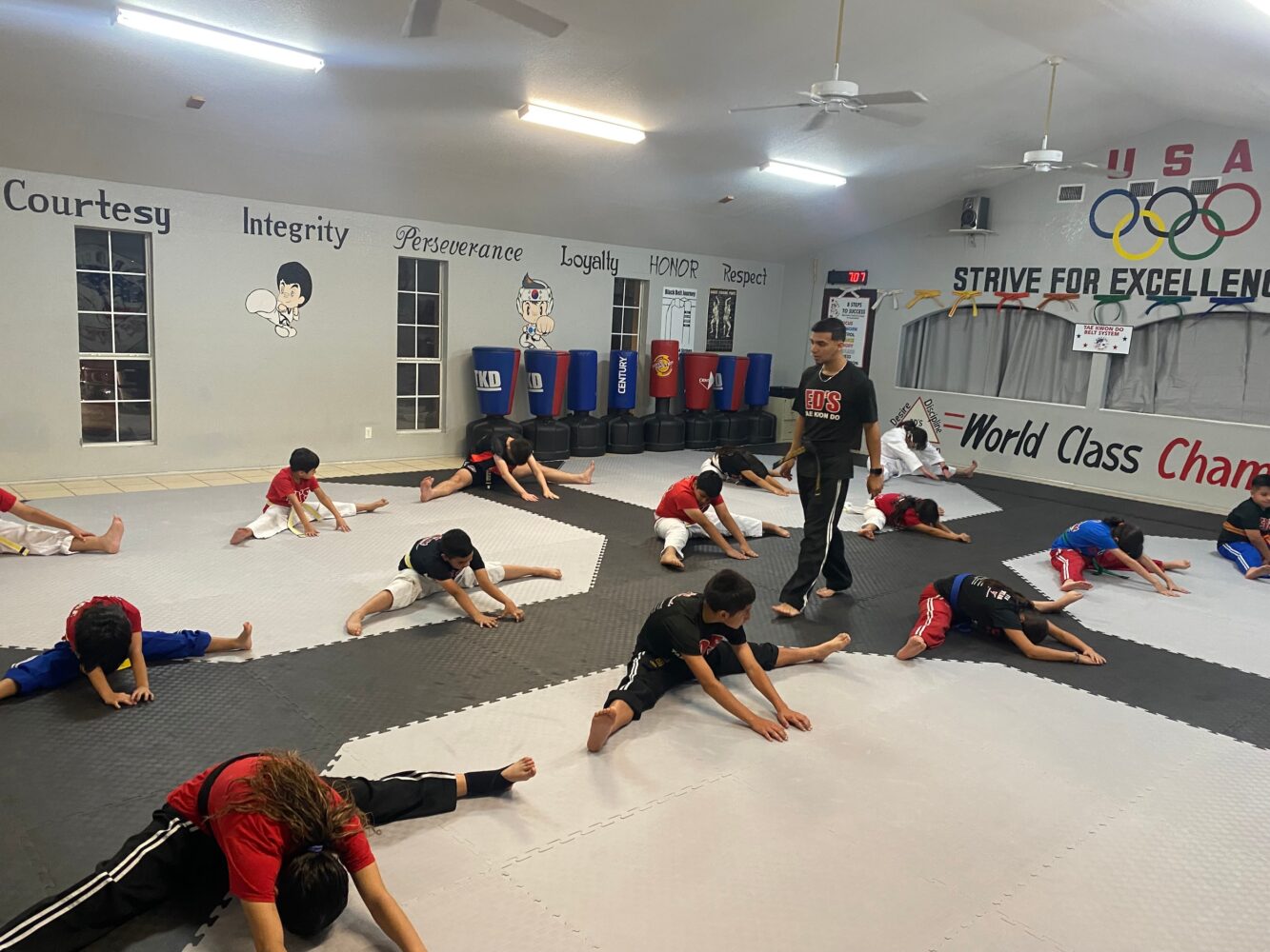 Ed's World Class Tae Kwon Do / Karate Academy Karate Kids Program Overview